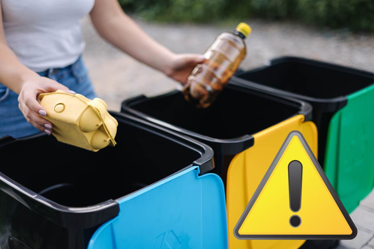 Raccolta Differenziata